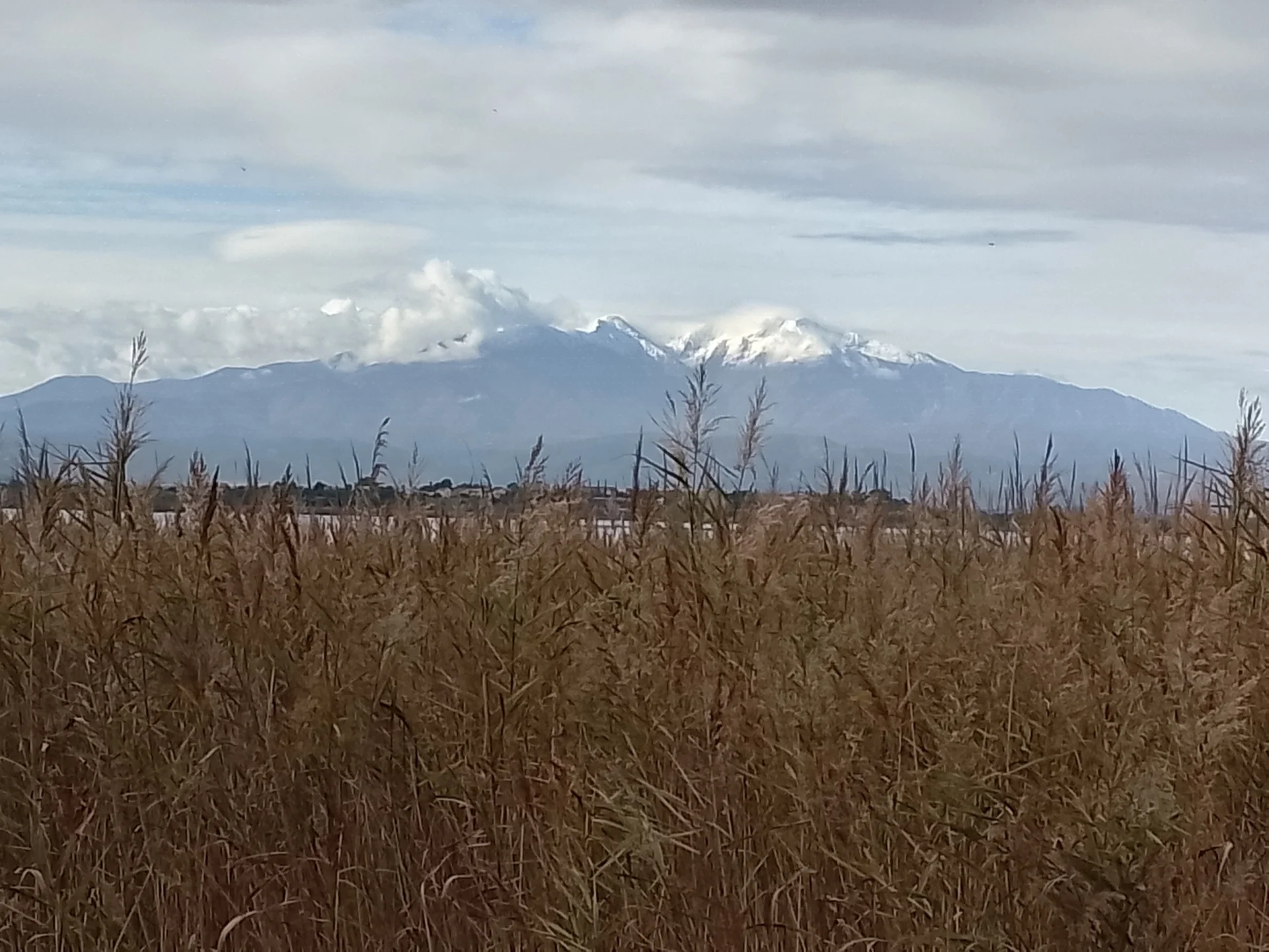 Img 20251107 113230 hdr